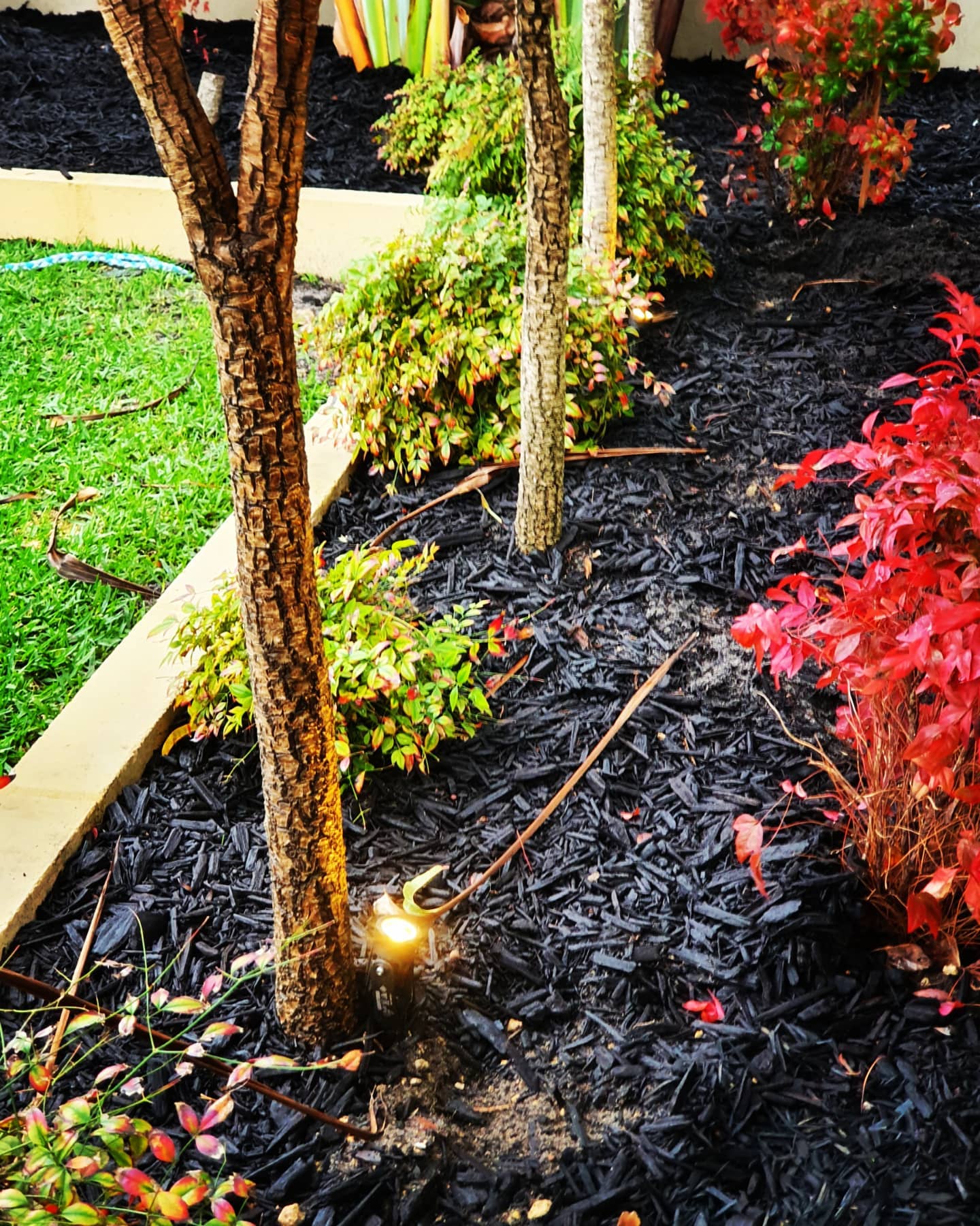 light installation Canning Vale